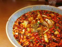 沸腾鱼片-梧桐树下(云锦世家店)