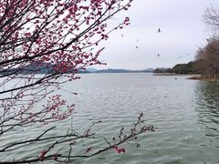 -长广溪湿地公园
