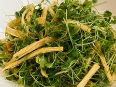 -悦融·京鲁菜·露台花园(安定门店)