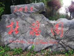 -铁山坪森林公园