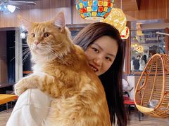 -蓝鲸·缅因猫舍