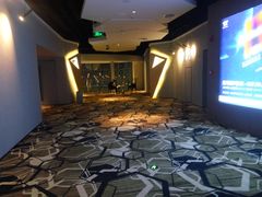 -星河寰宇IMAX影城(星河WORLD·COCO Park店)