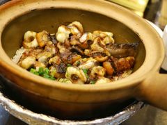 -红星光发煲仔饭(文海店)