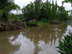 -桤木河湿地公园