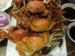 -赶海部落海鲜城(海阳路店)