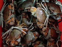 -老财炒饭·熟地蟹·冬瓜蟹