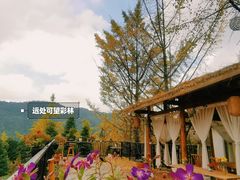 -青城山
