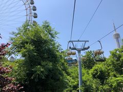 -富斯特索道