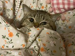 -月枫堂(长春这有山店)