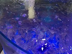 -四海蒸鲜蒸汽海鲜自助(北戴河店)