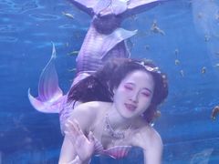 -华夏文旅海洋公园