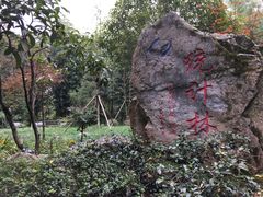 -邓小平故里