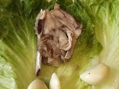 -杨氏青龙虾·羊蝎子(珠江路店)