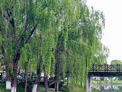 -贡湖湾湿地公园