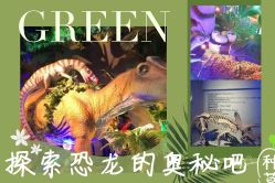 -恐龙探索乐园(磁器口店)