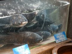 -上名堂·鱼头好吃(体育场路店)