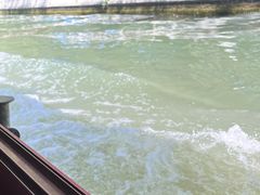 -皇家御河游(紫御湾码头)
