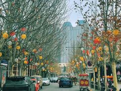 -天津五大道文化旅游区