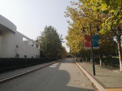 -山东外贸职业学院