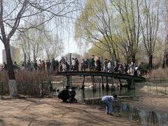 -长白岛森林公园