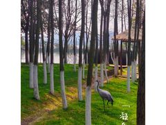 -艾溪湖湿地公园