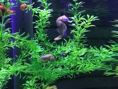 -成都浩海立方海洋公园