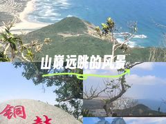 -海南铜鼓岭景区
