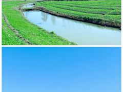 -花开海上生态园