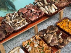 -草墩罗非鱼庄•野生菌•腊排骨(七星街上段店)