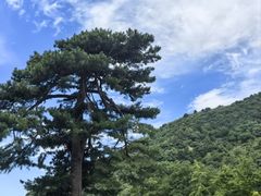 -秦岭终南山世界地质公园翠华山景区