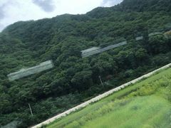 -红河谷漂流