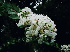 -杭州植物园