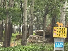 -秦皇岛野生动物园
