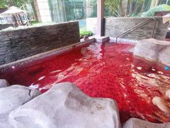 -北京乐多港万豪酒店汤乐宫温泉