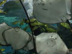 -福州罗源湾海洋世界旅游区