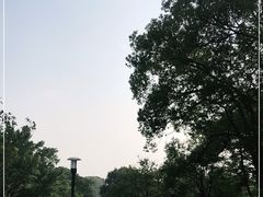 -福建鲤鱼洲酒店