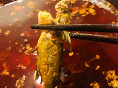 -三道苗苗鱼·美蛙黄辣丁(八里店)