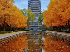 -玲珑塔公园