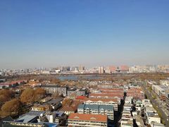 -梧桐餐厅(泉城路店)