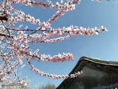 -三里河公园