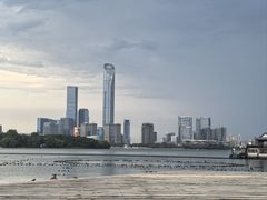 -金鸡湖景区
