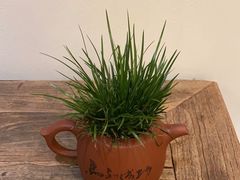 -翁暖茶馆(滨江东总店)