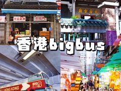 -Big Bus Tours 敞篷观光巴士