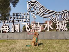 -海澜飞马水城