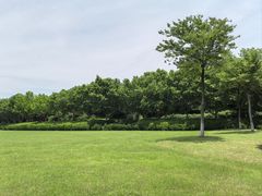 -宜兴龙背山森林公园
