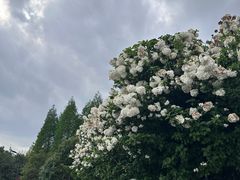 -钱塘江