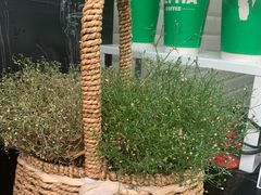 -ALPHA COFFEE阿尔法咖啡(虹莘路店)
