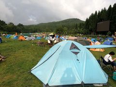 -武陵山森林公园