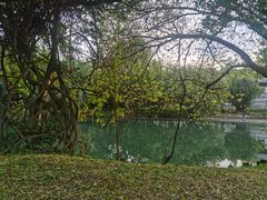 -贵阳市花溪国家城市湿地公园