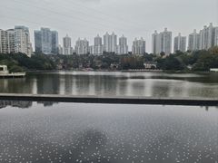 -于塗·文化餐厅(棕榈店)
